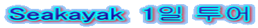 Seakayak  1일 투어
